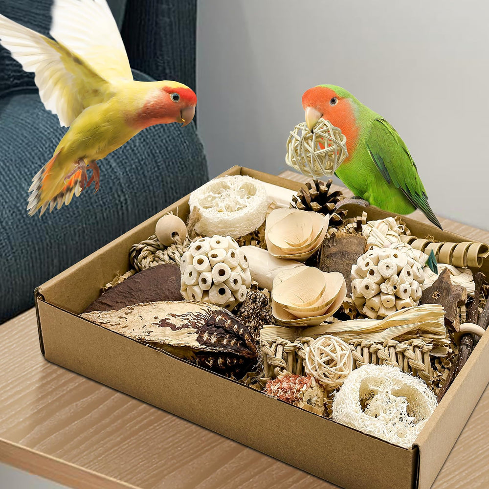 LOPERDEVE morceaux-bois naturel, jeu durable et exercice du bec.