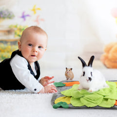 LOPERDEVE tapis de recherche coloré pour lapin, design attrayant et exploration.