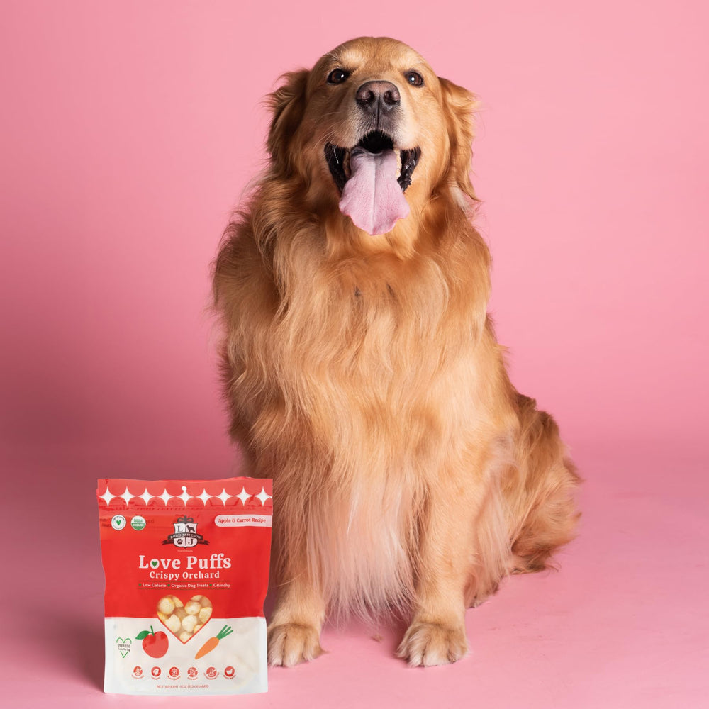 Ingrédients biologiques certifiés USDA, friandise saine Lord Jameson pour chien