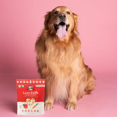 Ingrédients biologiques certifiés USDA, friandise saine Lord Jameson pour chien