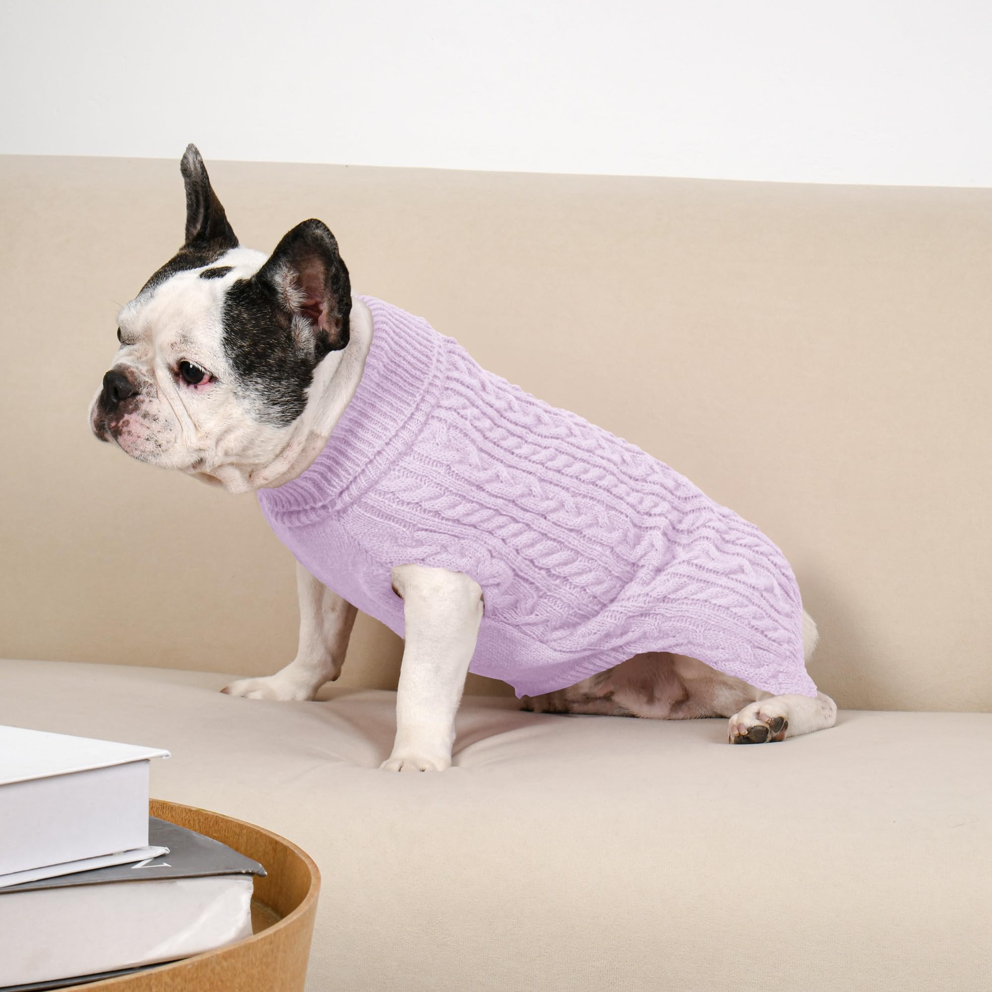 Lorehelina pull chien moyen rose, idéal pour photos festives et cadeaux.