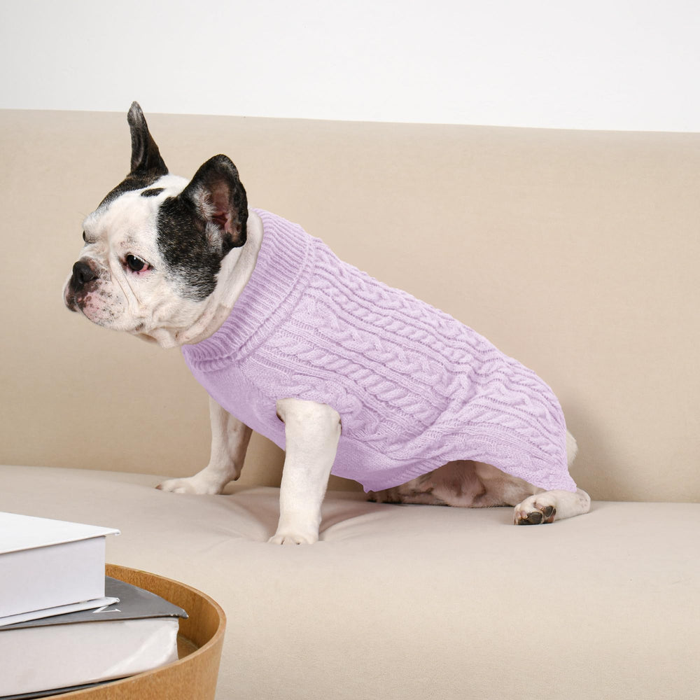 Lorehelina pull chien moyen rose, idéal pour photos festives et cadeaux.