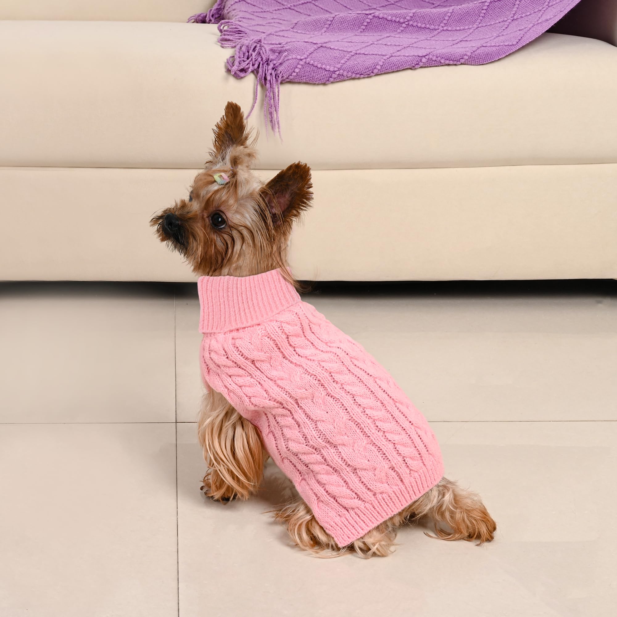 Lorehelina pull chien petit bleu, couleur polyvalente pour fêtes et quotidien.