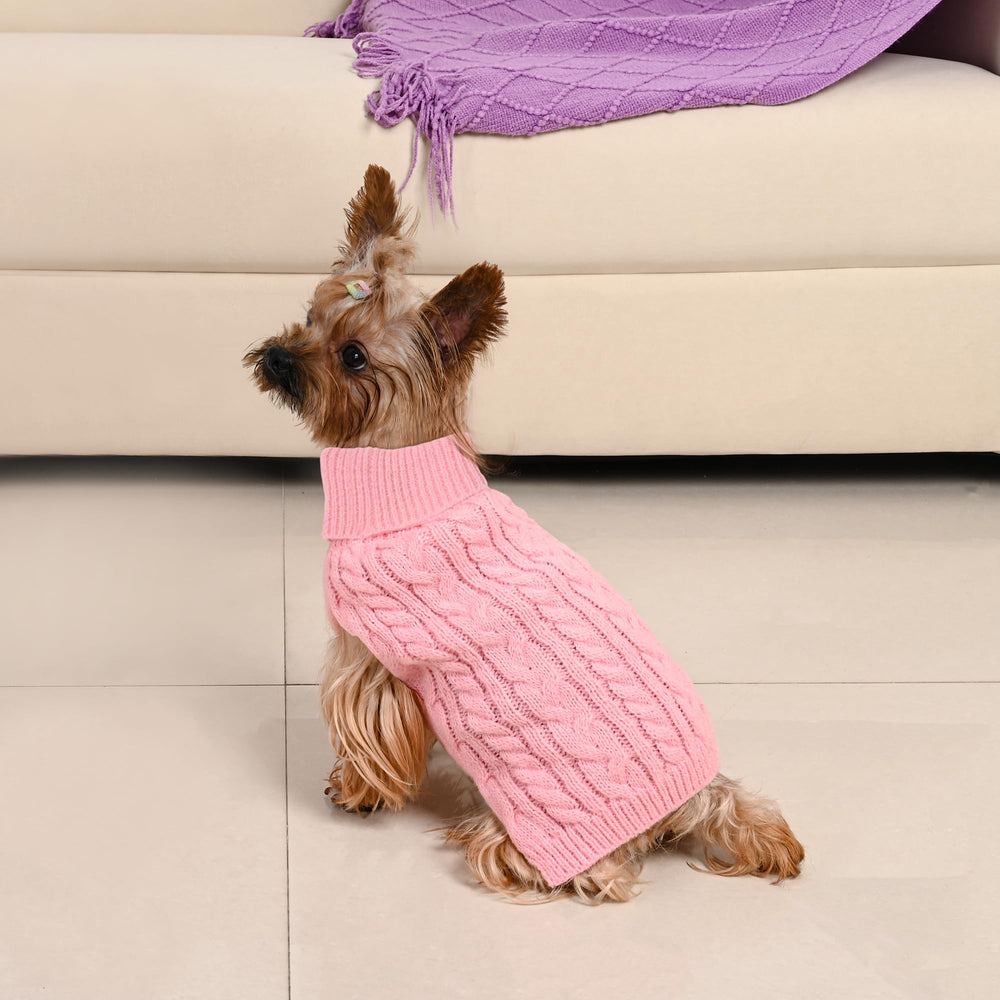 Lorehelina pull chien petit bleu, couleur polyvalente pour fêtes et quotidien.