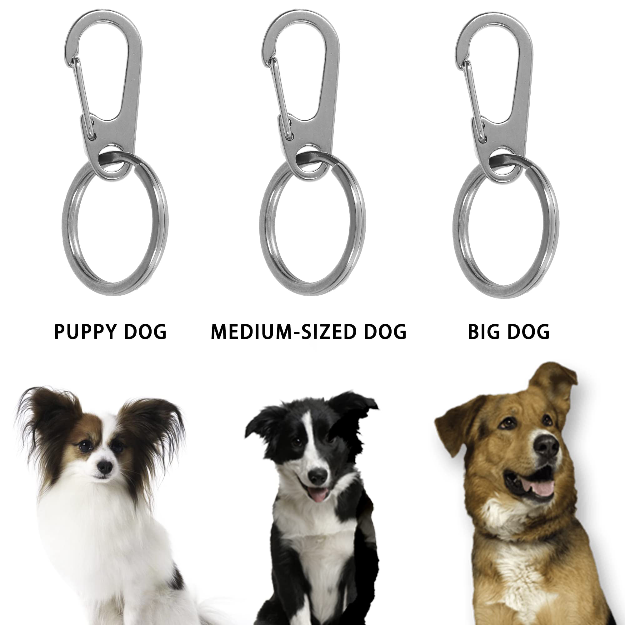 Losensild attache d'identification rapide pour chien et chat facilite le remplacement des étiquettes.