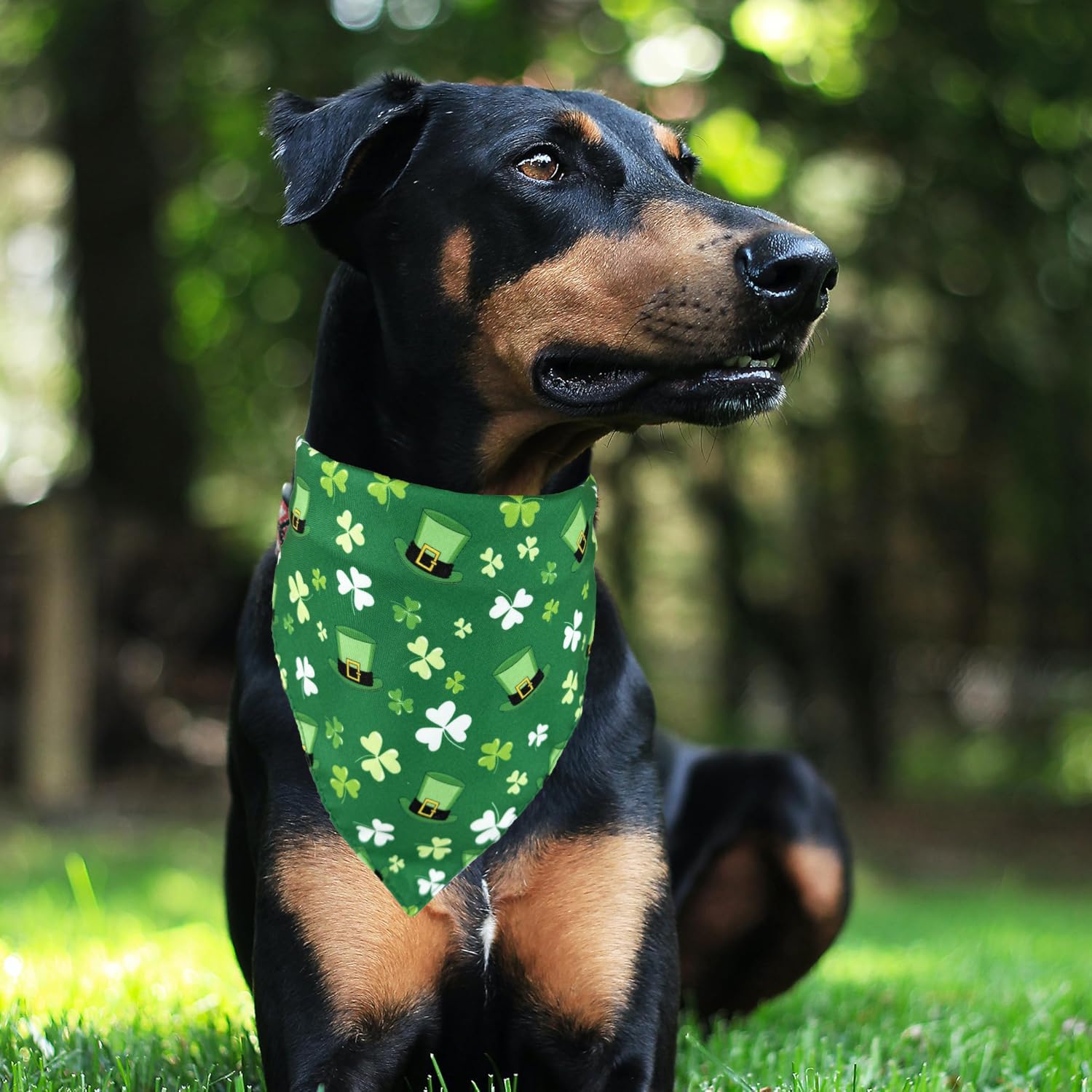 Noeud ajustable LosFong, ajustement sûr pour petits et moyens chiens.