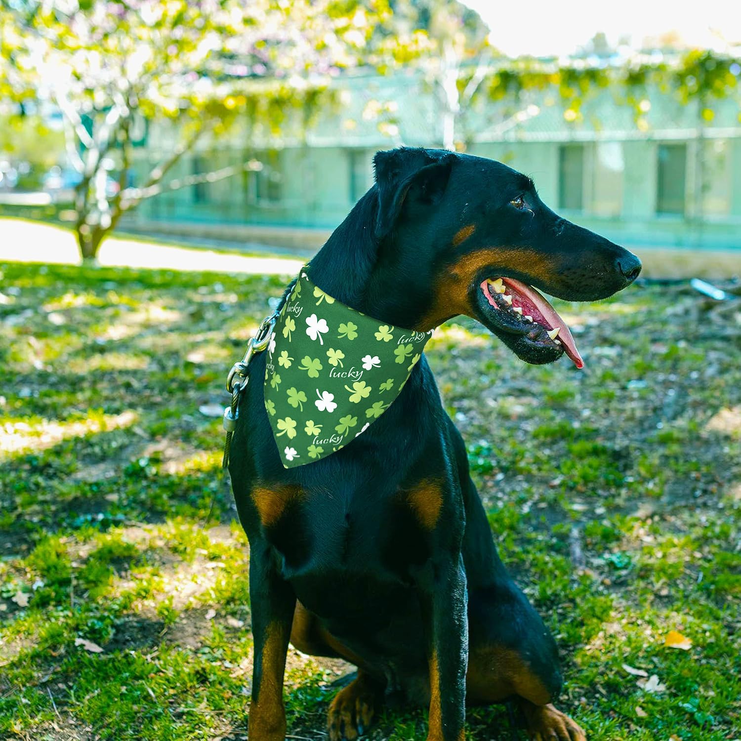 Trois tailles disponibles LosFong bandana, choix adapté à chaque chien.