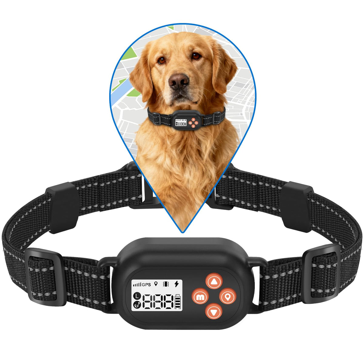 LOTYP collier-chien GPS pour une délimitation précise et sécurisée lors des balades
