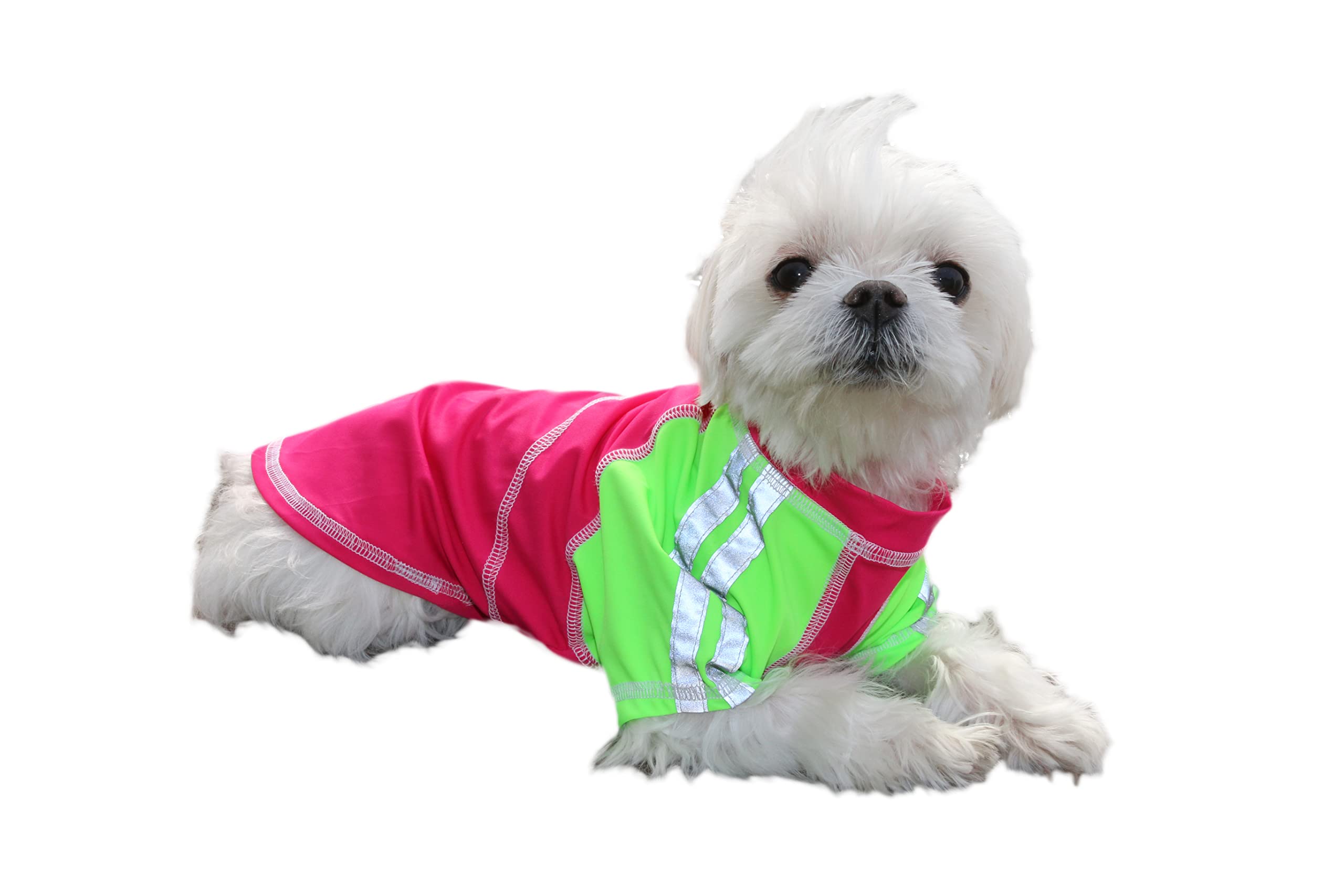 Louie de Coton chemise UV : protection solaire élevée pour chiens et chats.