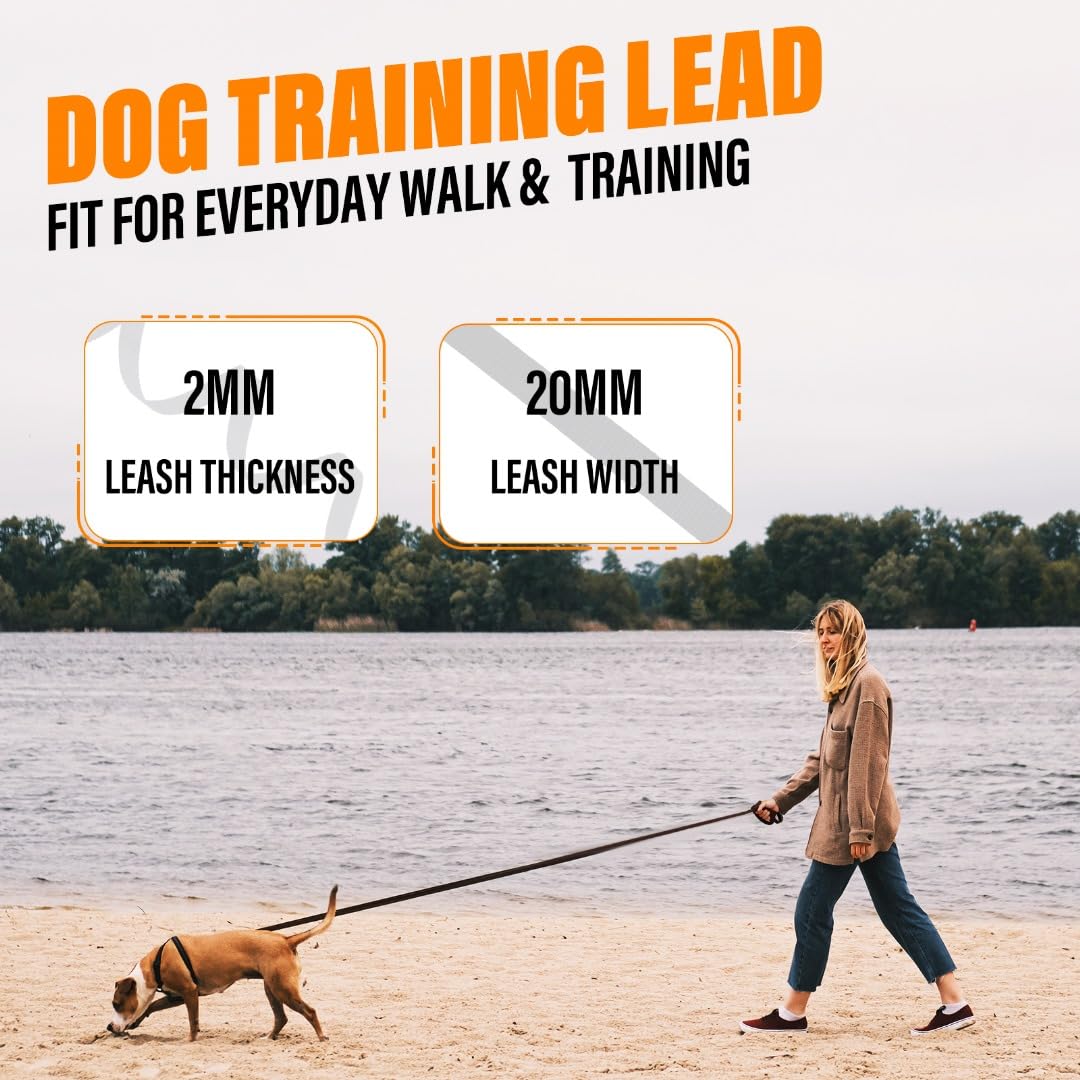 Loutep longue ligne chien mousqueton rotation 360 pour moins d enchevêtrement.
