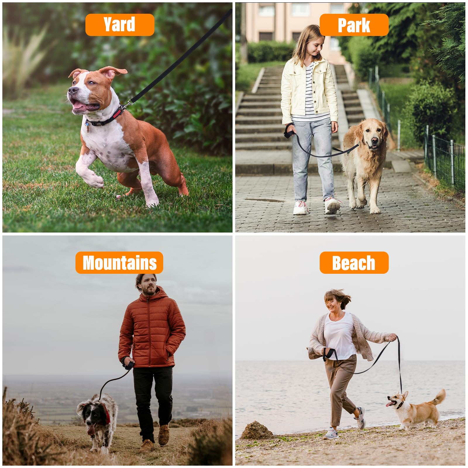 Loutep longue ligne chien usage extérieur – entraînement et liberté sécurisée.