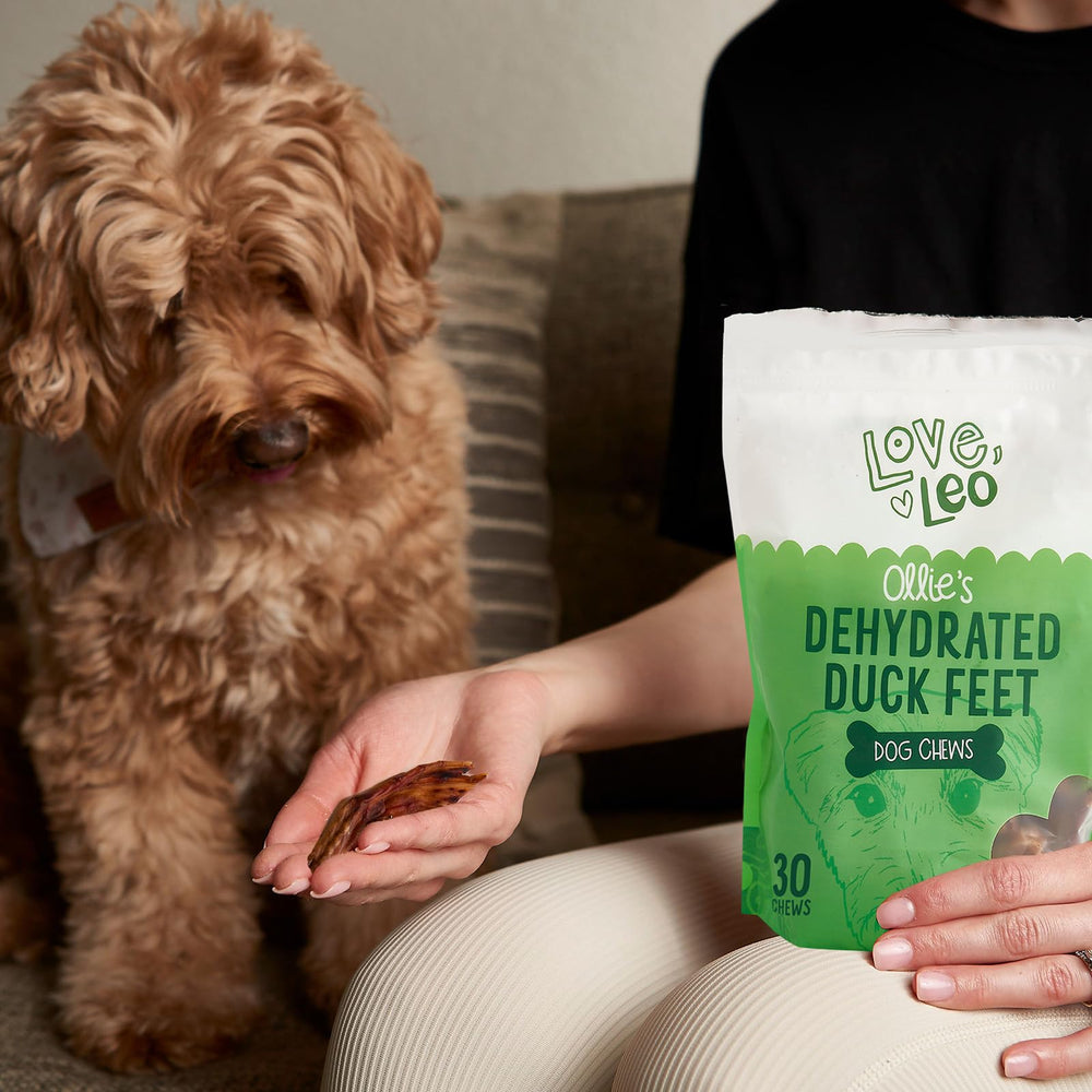 Love Leo protéines-élevées pattes-de-canard-seches-pour-chien, snack digestible