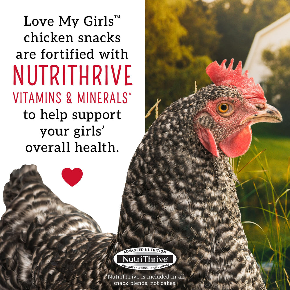 Love My Girls graines citrouille, fibres et vitamines pour digestion