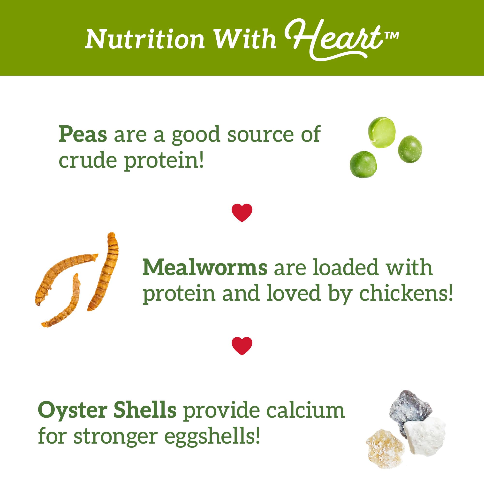 Love My Girls sans corn: formule corn-free adaptée à l’alimentation des poules.