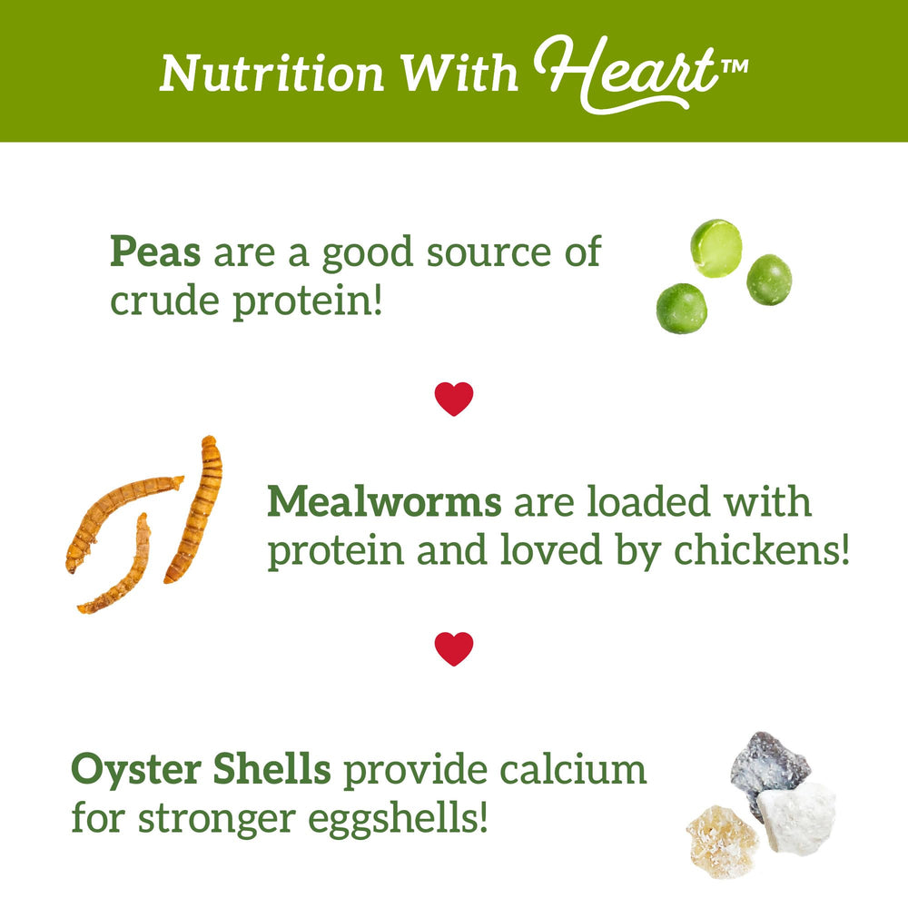 Love My Girls sans corn: formule corn-free adaptée à l’alimentation des poules.
