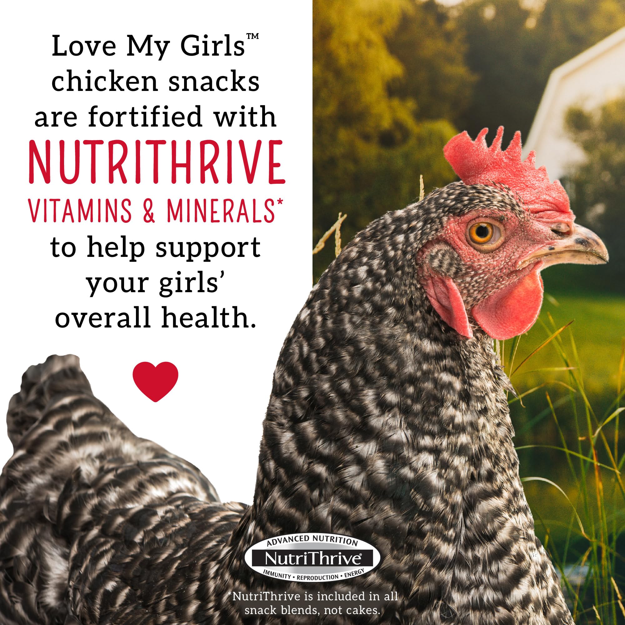 Love My Girls: sans maïs pour une nutrition variée et saine
