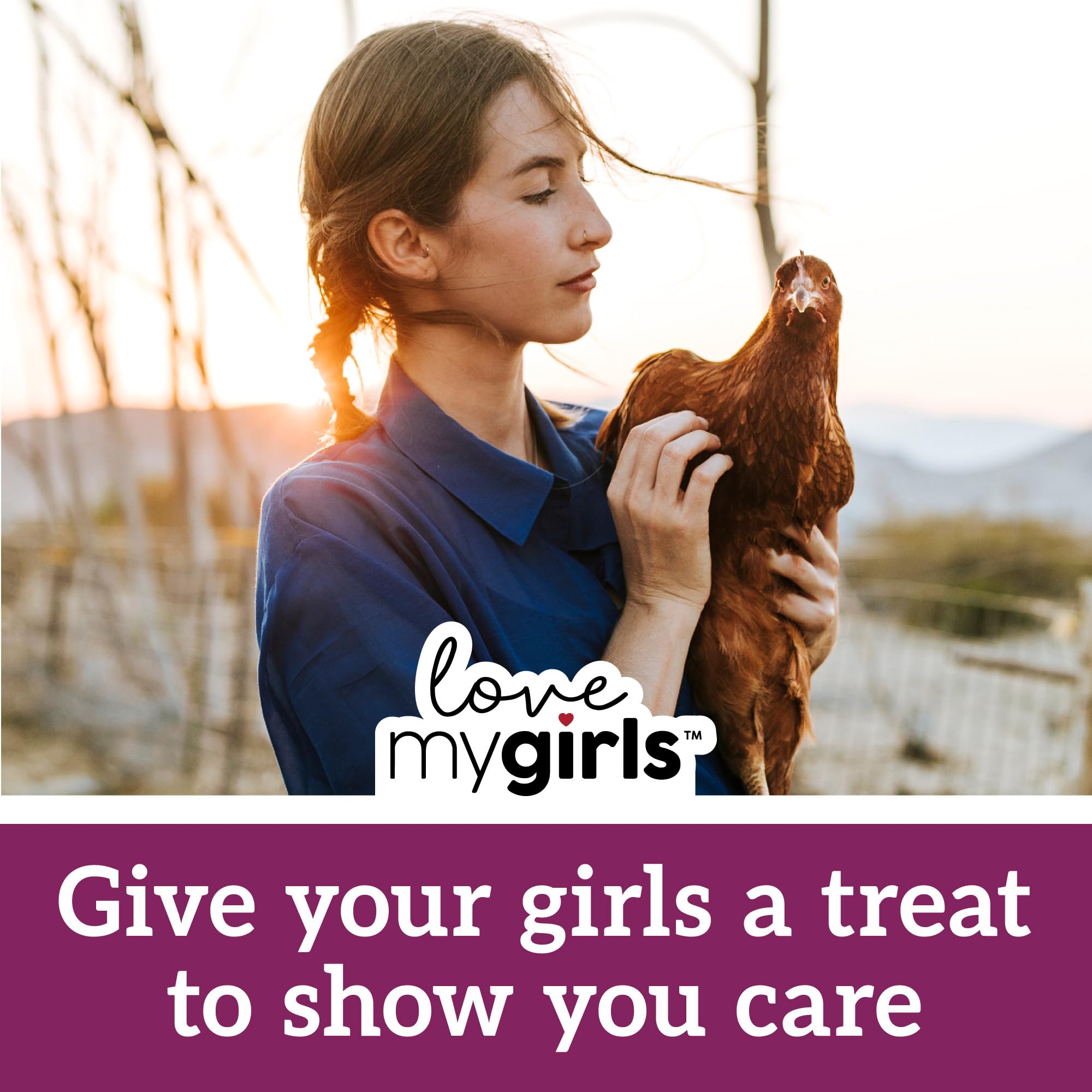 Love My Girls: usage quotidien en poulailler, facilite l'alimentation régulière