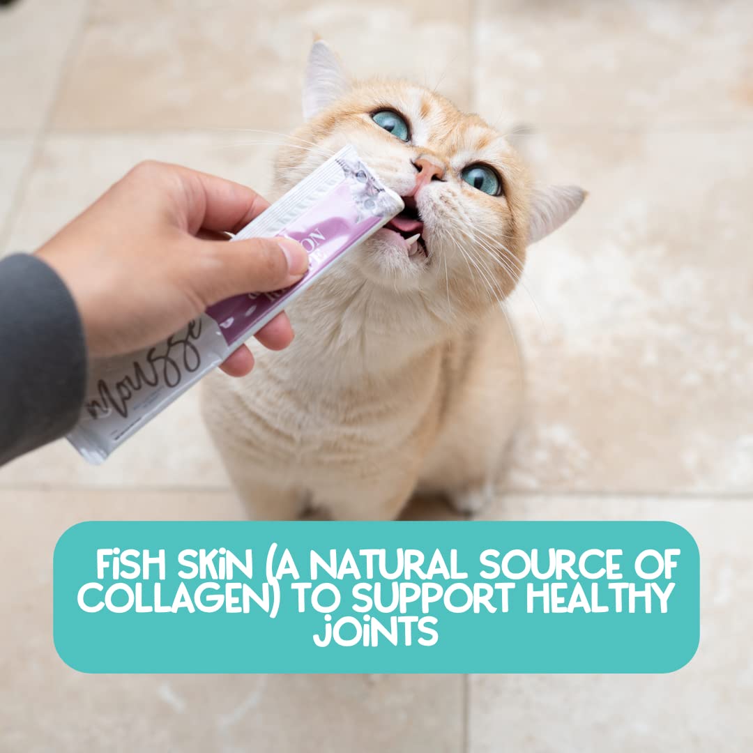 LOVE, NALA assiette-chat-serve – pratique à partager après le jeu.