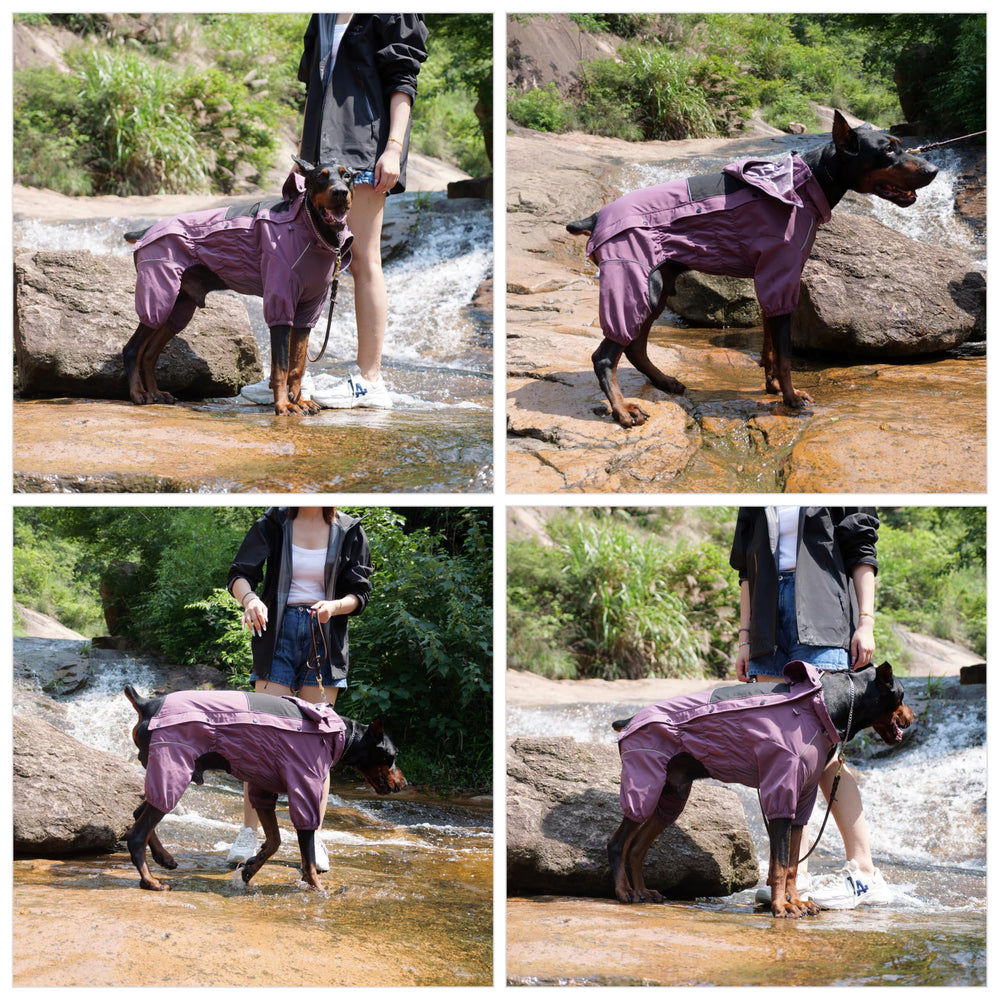 Lovelonglong ajustement poitrine elastique chien pour un maintien confortable.