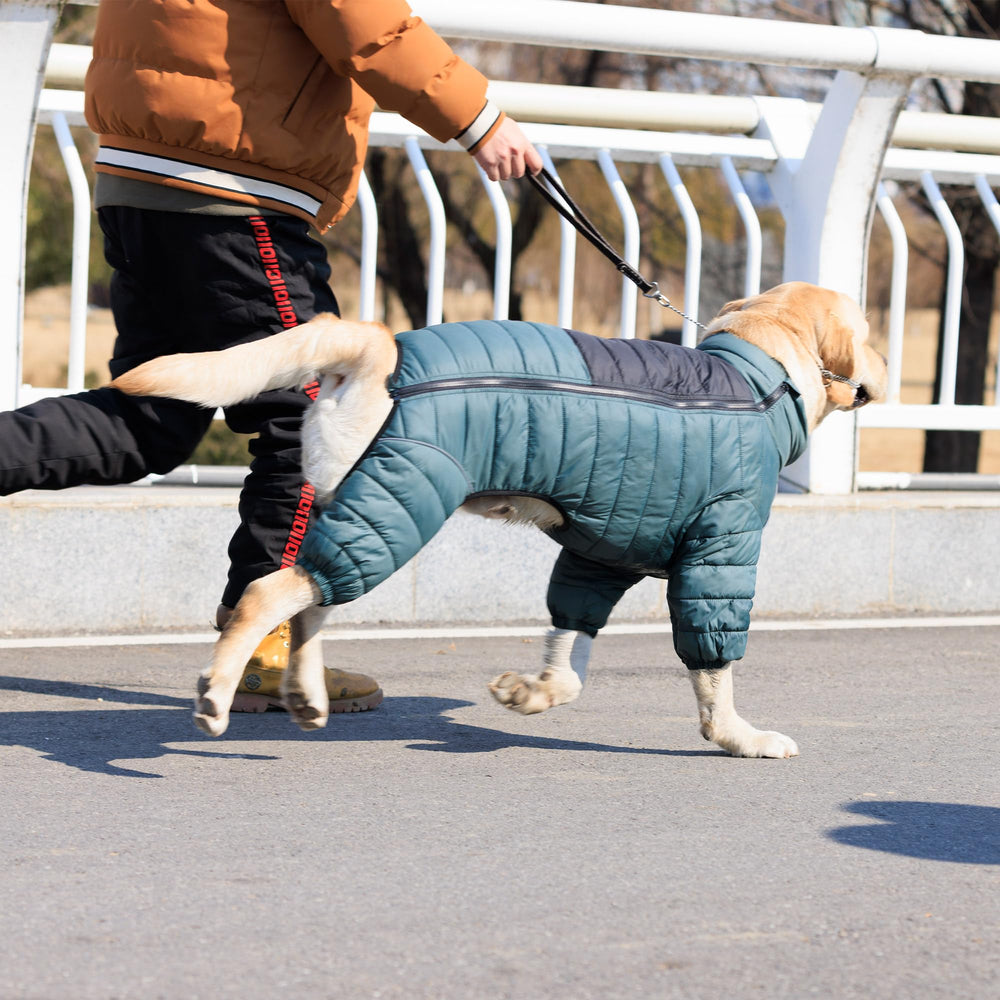 Lovelonglong ArmyGreen veste chien ajustable cou: maintien optimal du cou et torse