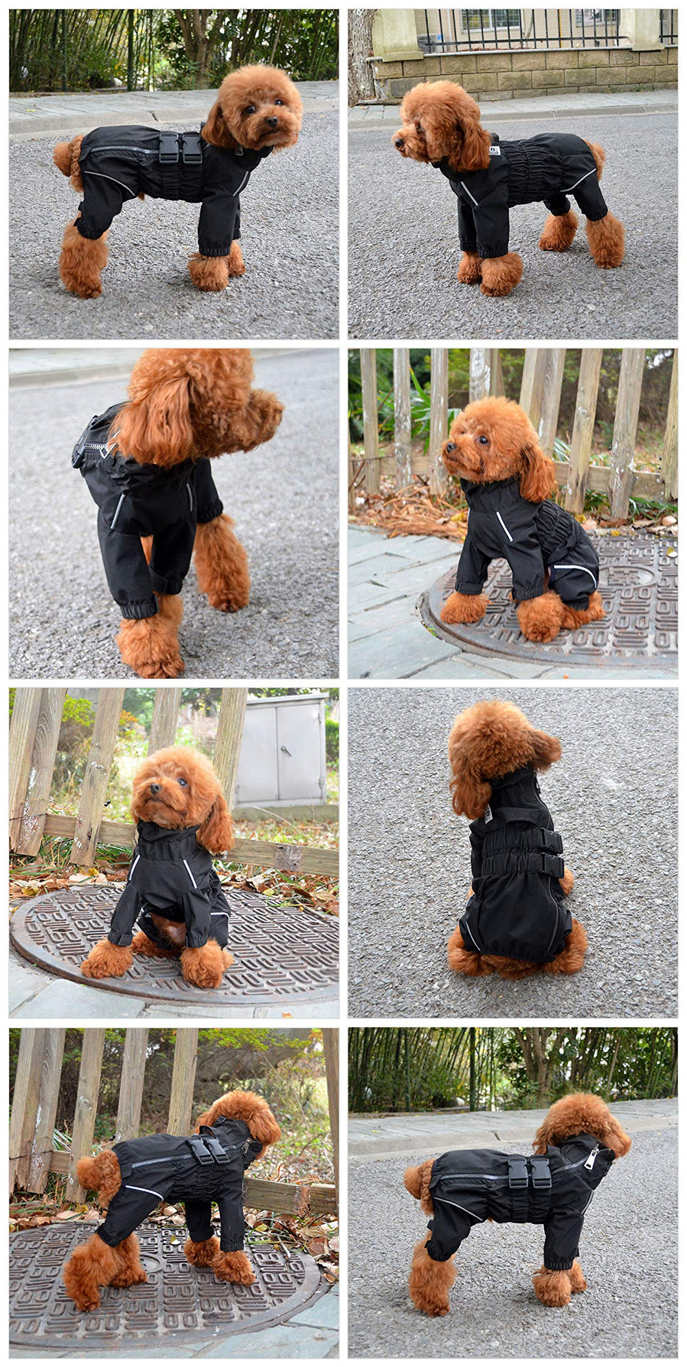 Nettoyage facile Lovelonglong imperméable chien après sortie mouillée.