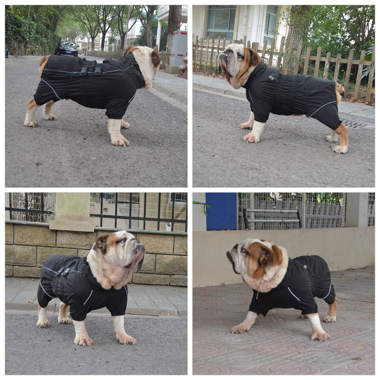 Visibilité accrue Lovelonglong imperméable chien sous faible lumière.