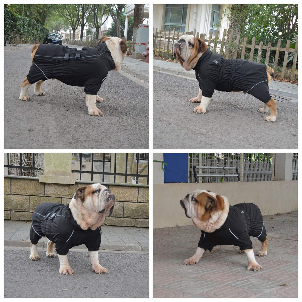 Visibilité accrue Lovelonglong imperméable chien sous faible lumière.