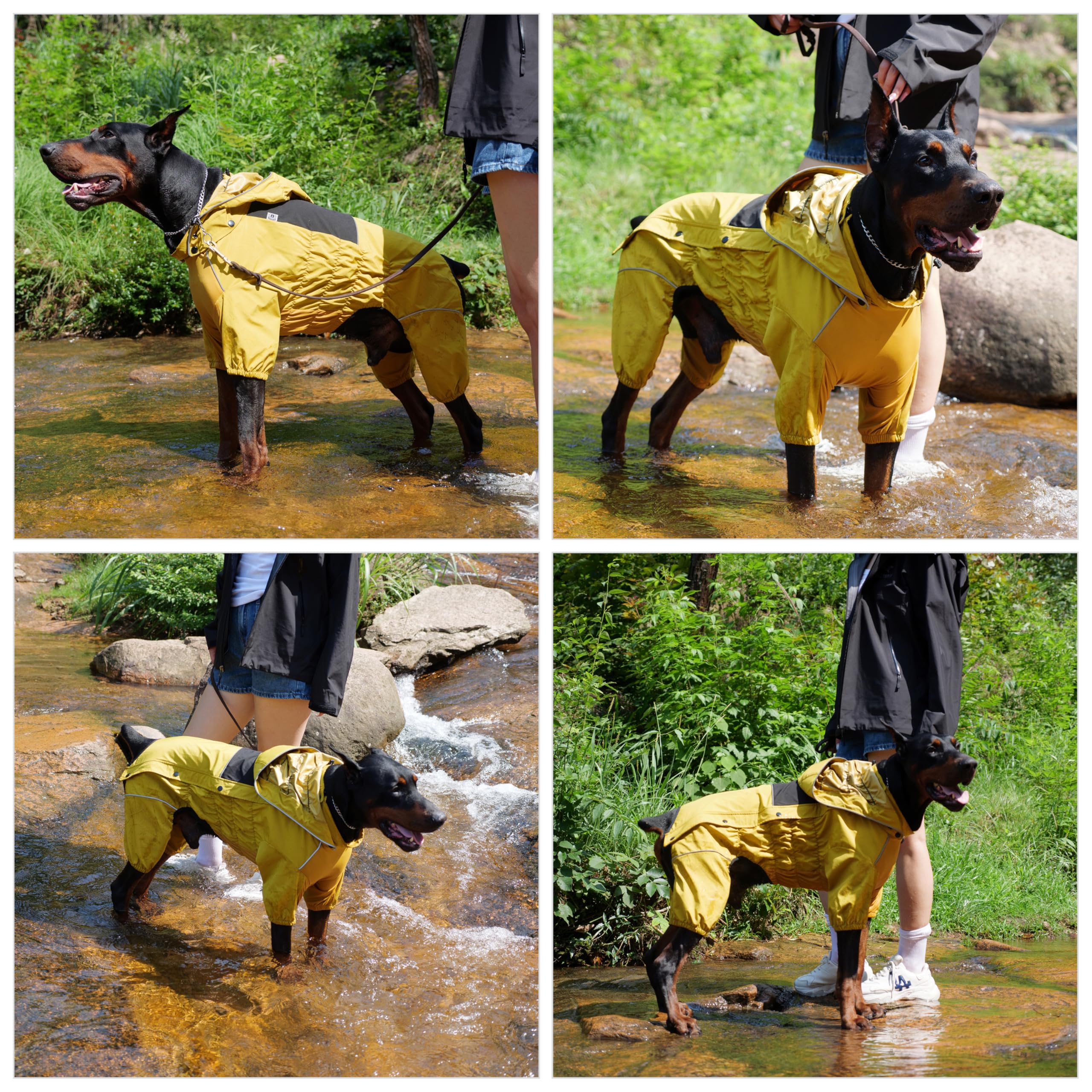 Lovelonglong design complet chien, protection renforcée des pattes et du ventre.