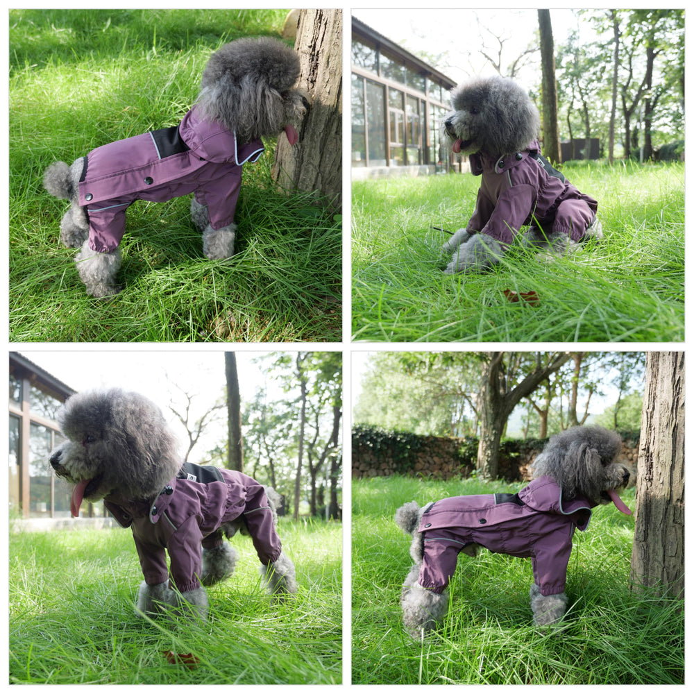 Lovelonglong tissu durable et léger manteau pour chien imperméable, confort pendant les promenades.