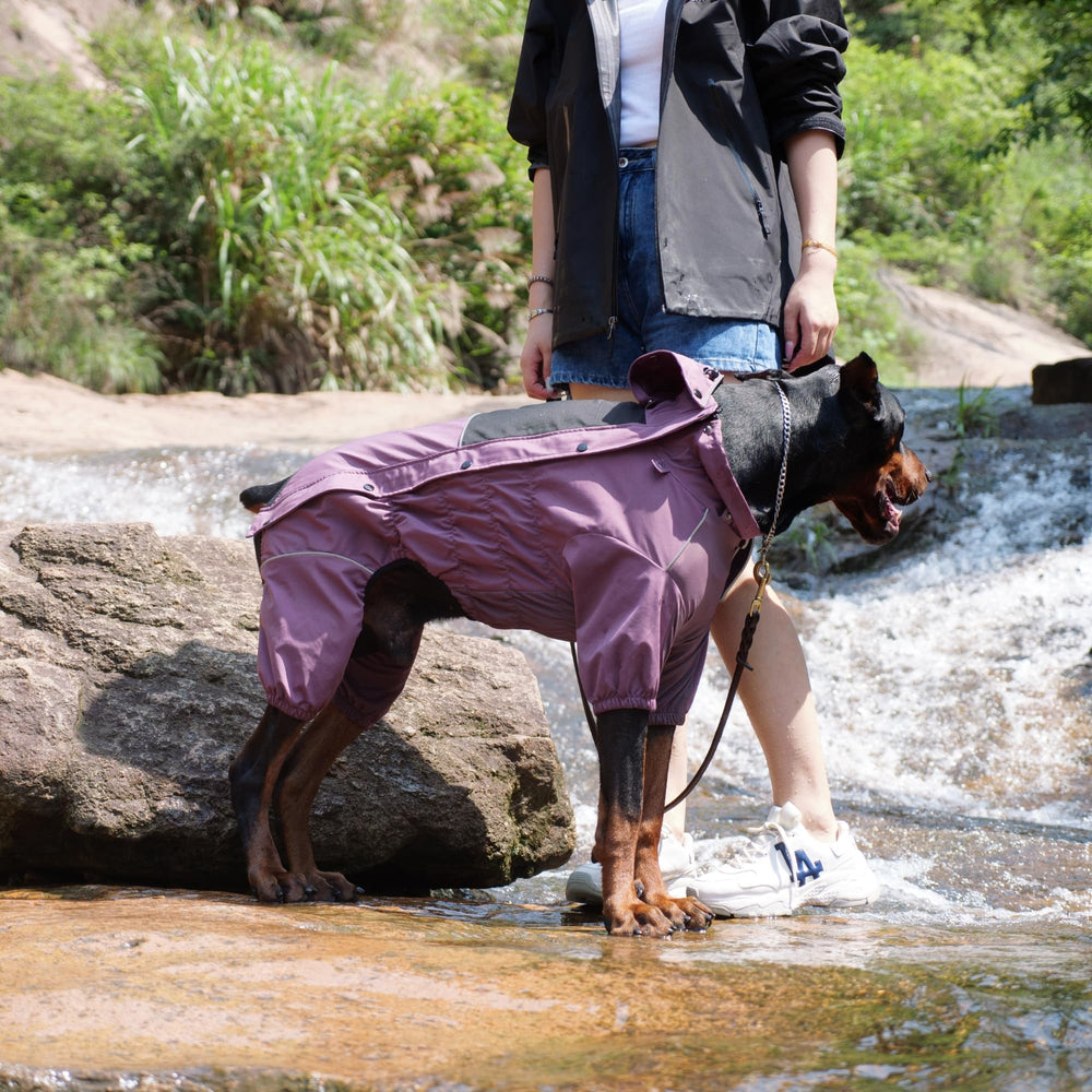 Lovelonglong ensemble extérieur complet pour chien en toutes saisons.