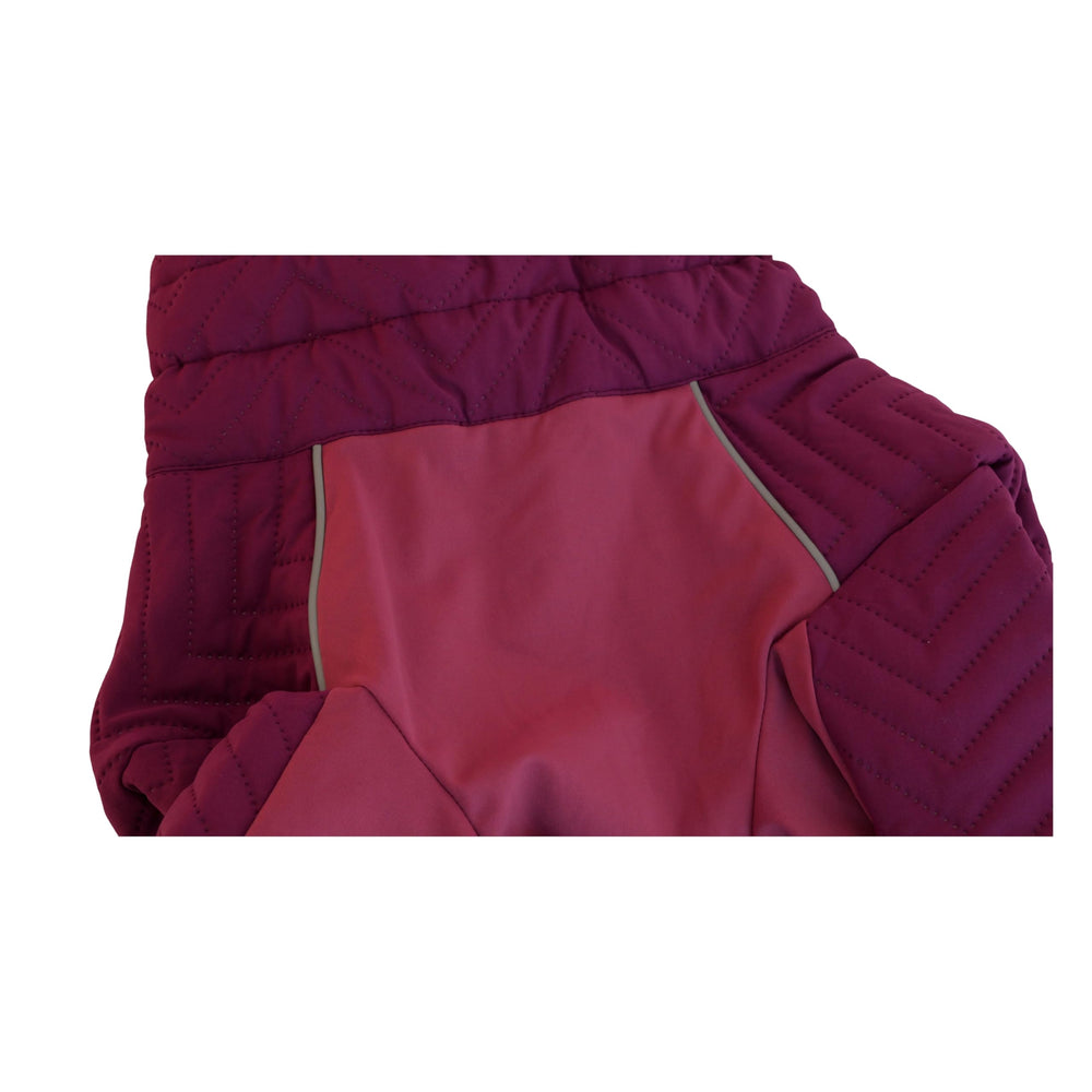 Lovelonglong gilet chien hiver outdoor, idéal pour promenades et jeux.