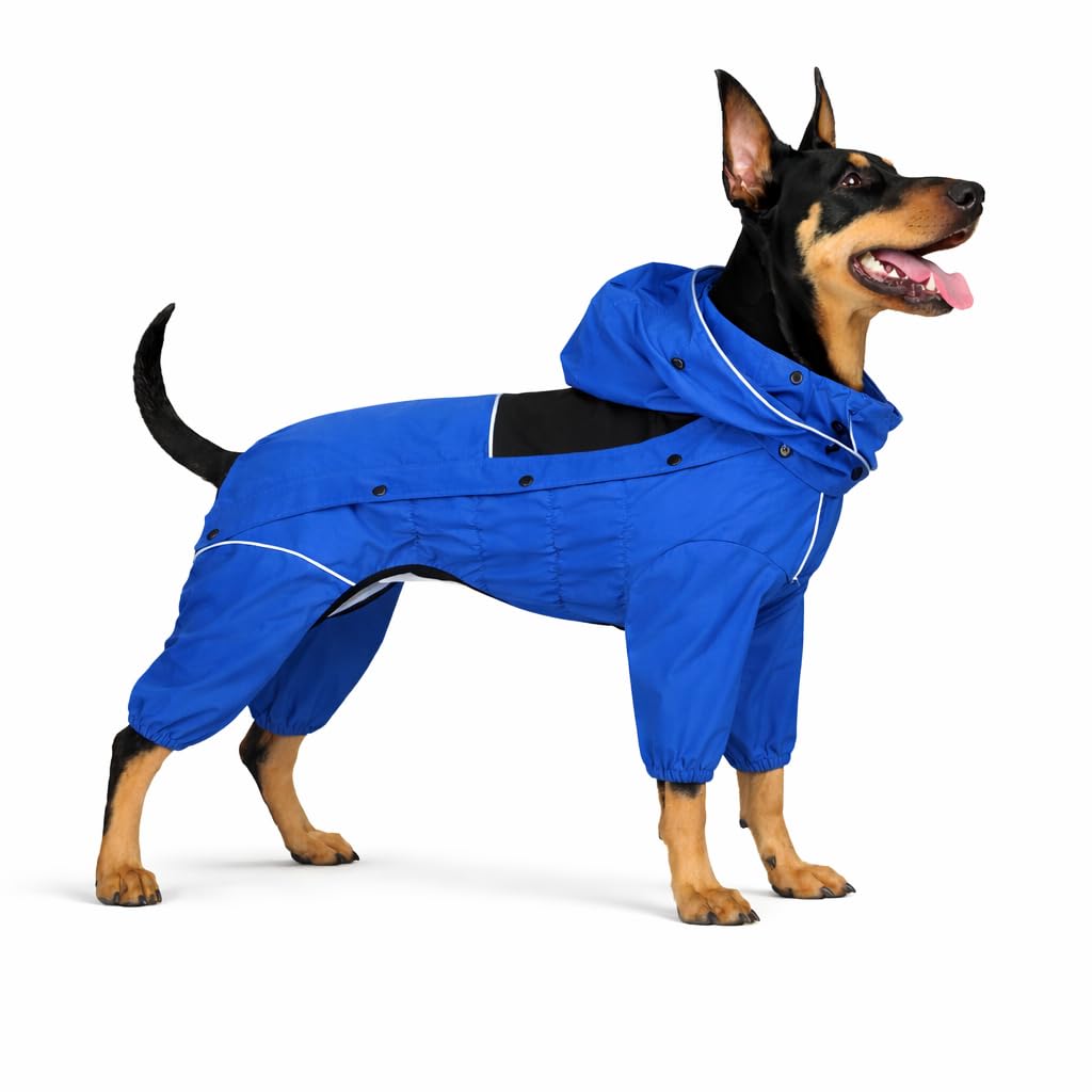 Lovelonglong imperméable chien capuche amovible pour sorties pluvieuses.