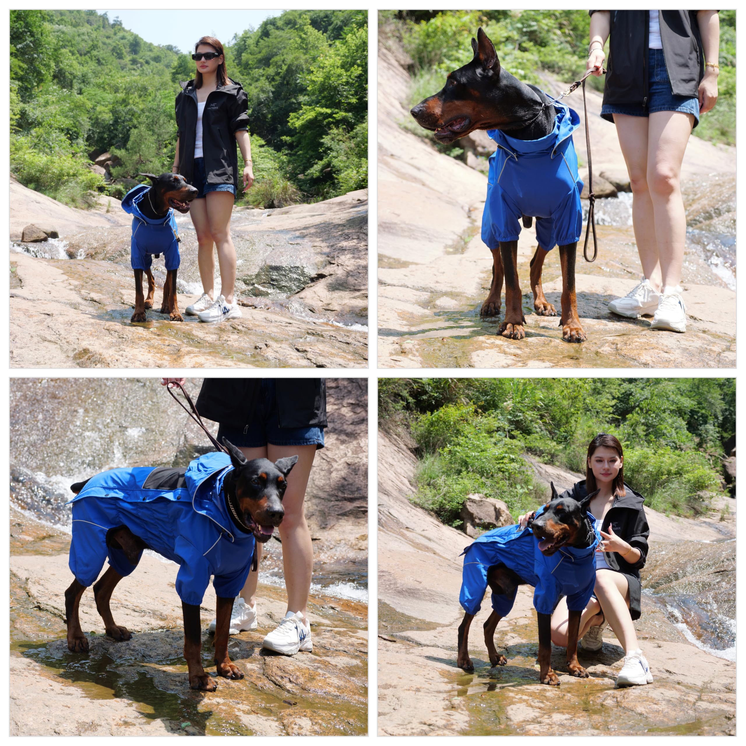 Lovelonglong imperméable chien manches protègent pattes et ventre.