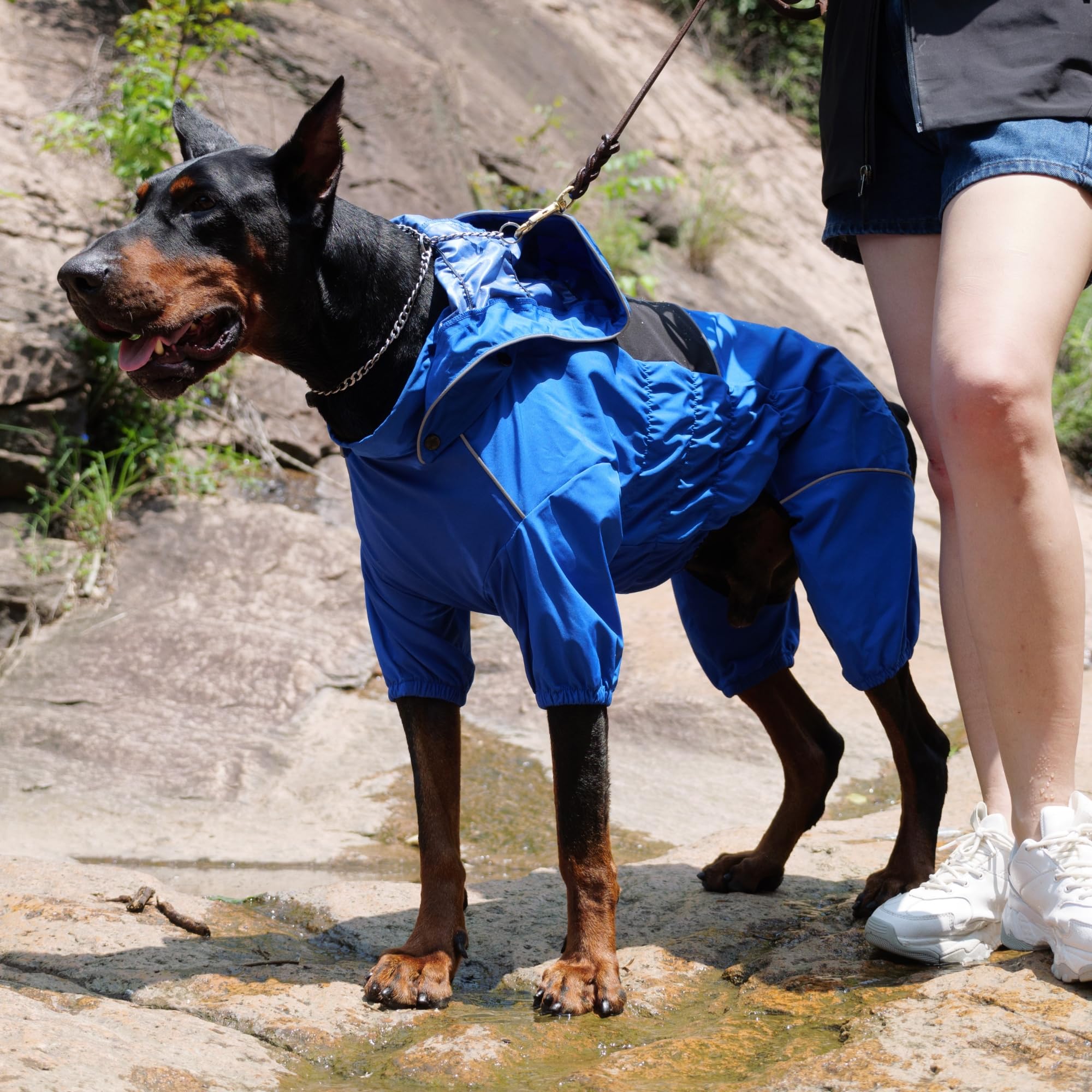 Lovelonglong imperméable chien poitrine ajustable pour chien actif.