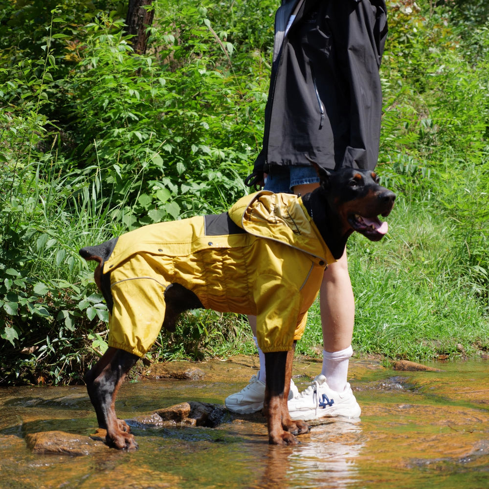 Lovelonglong lavable en machine chien, entretien rapide et sans effort.