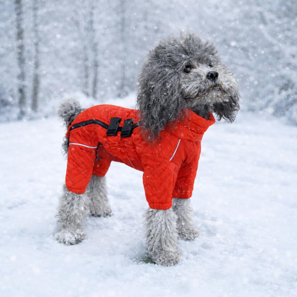 Manteau Lovelonglong ajustable avec boucles, chien orange 3XL, ajustement personnalisé.