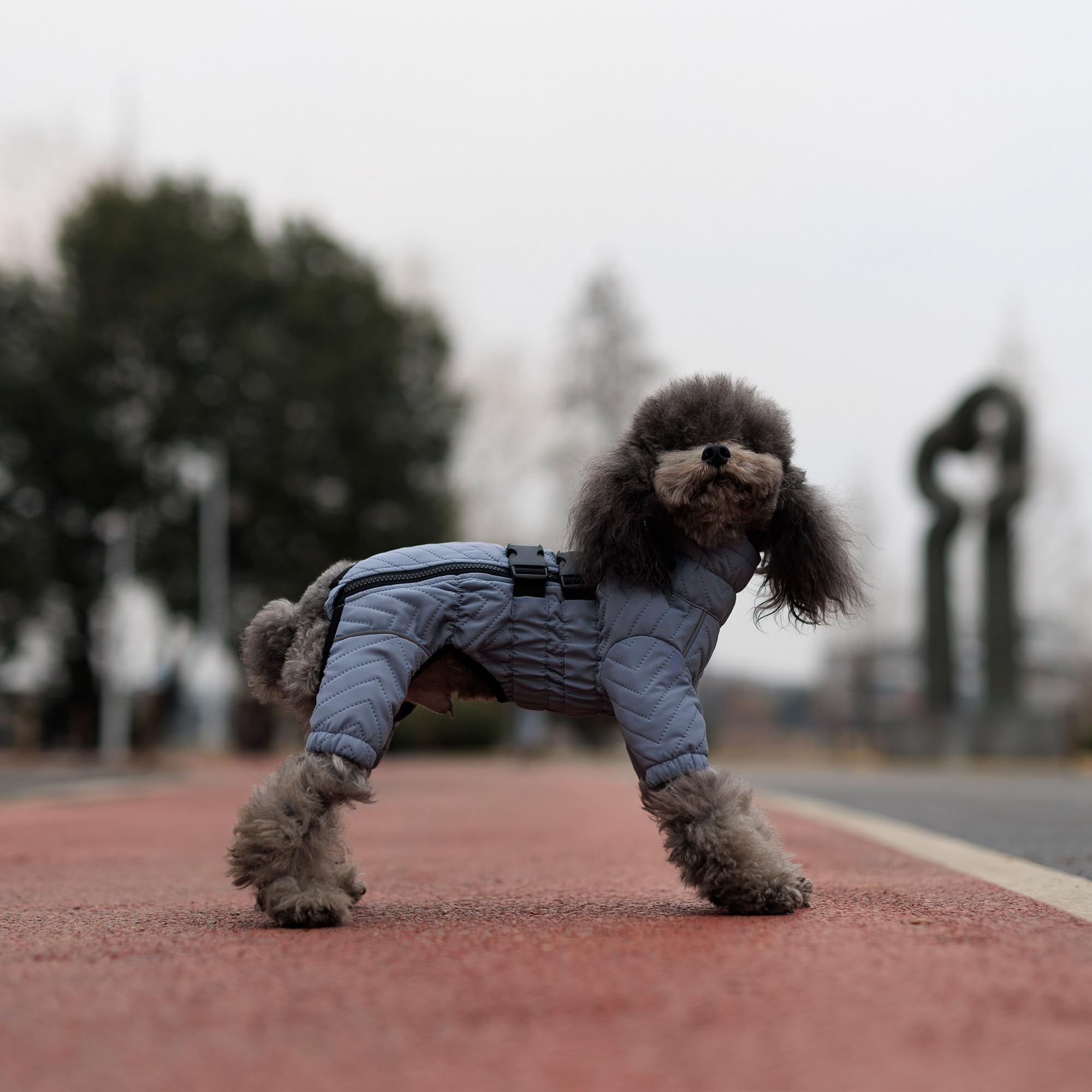 Manteau Lovelonglong chien couverture quatre pattes: protection complète
