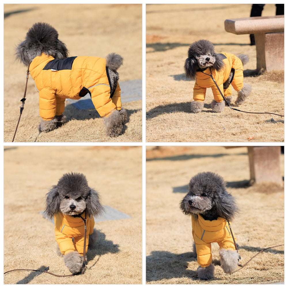 Lovelonglong manteau chien design avec sécurité et facilité d’enfilage