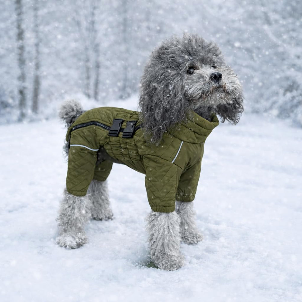Lovelonglong manteau chien dos olive, vue arrière montrant la couverture du torse.
