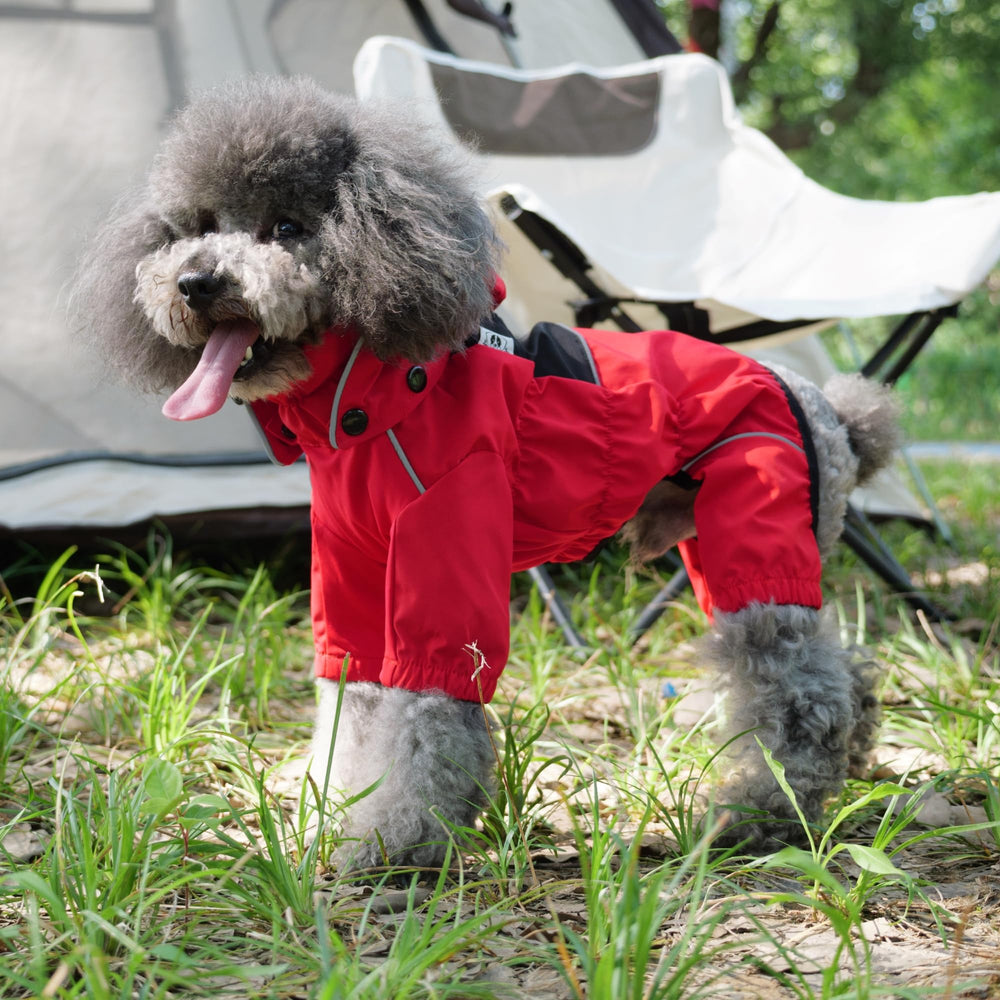 Lovelonglong manteau-chien doublure polaire douce, confort thermique en hiver.