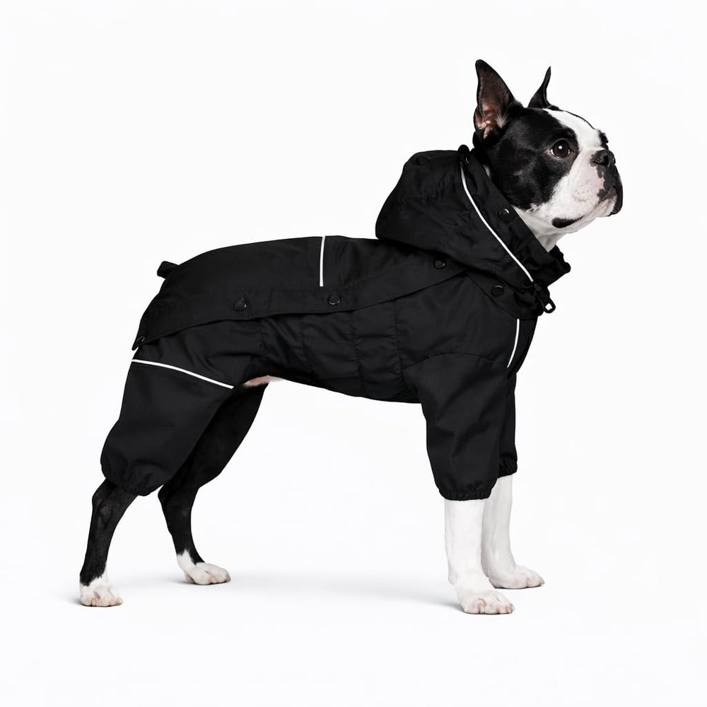 Manteau Lovelonglong pour chien avec capuche amovible et imperméable.