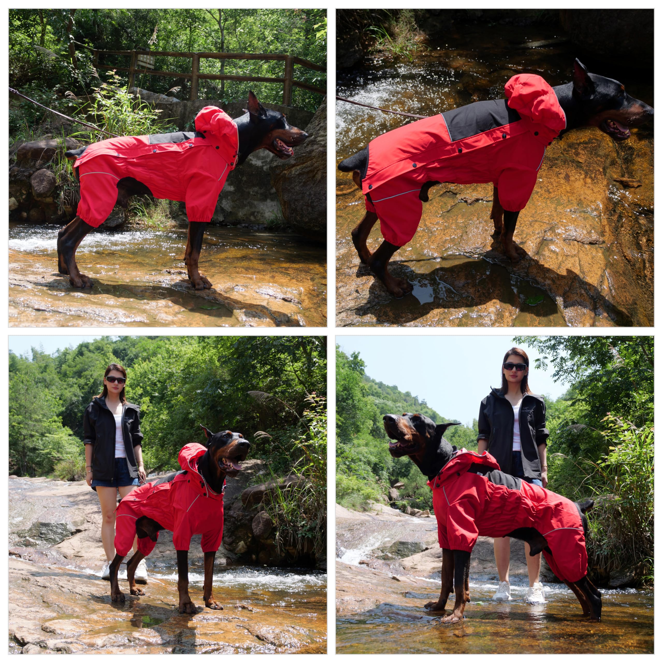 Lovelonglong manteau-chien lavage machine, nettoyage simple après balade boueuse.
