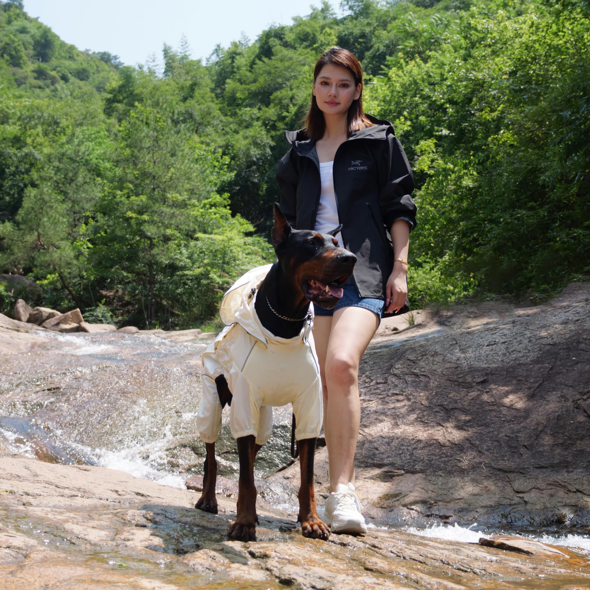 Lovelonglong manteau chien pluie ivoire, style élégant et protection fiable.