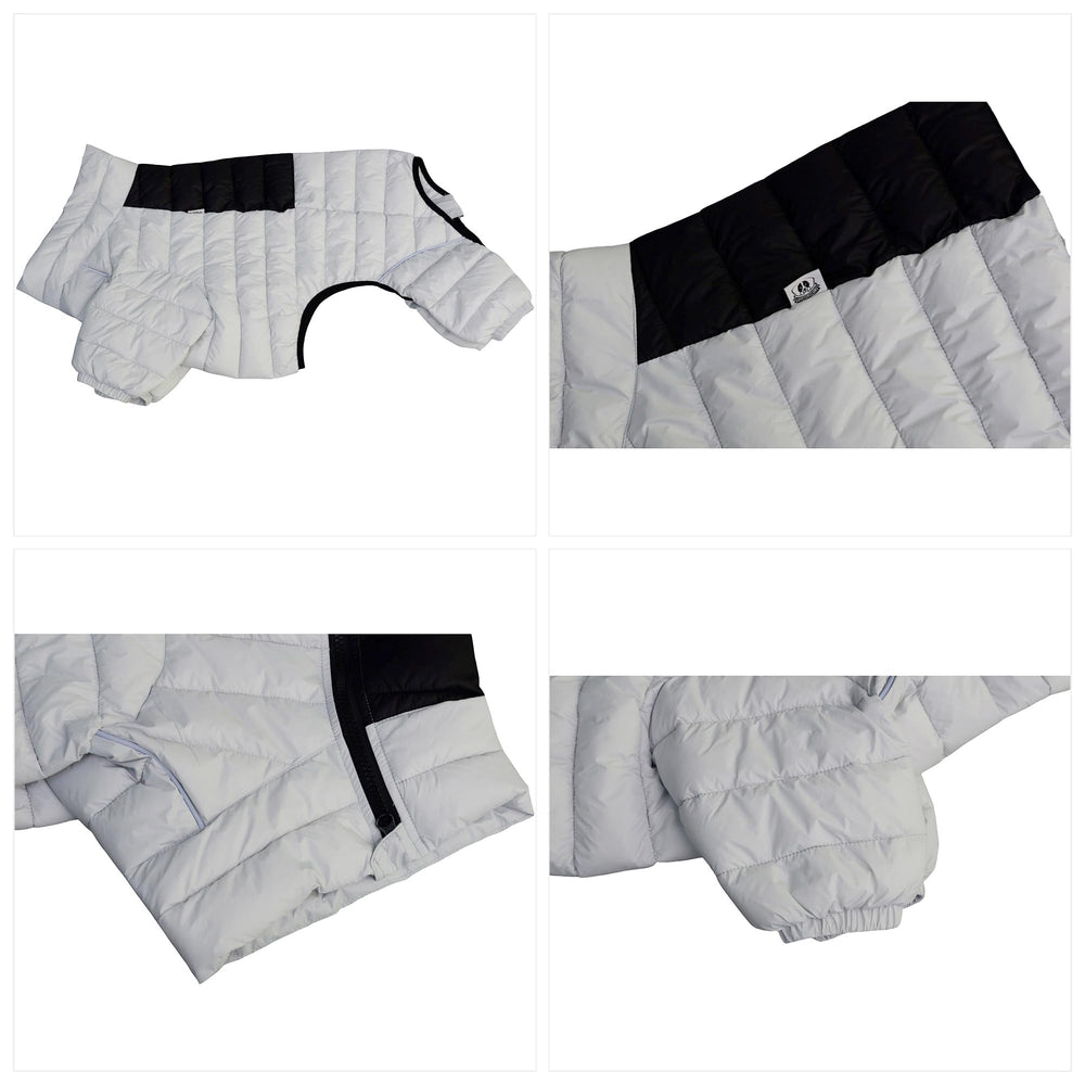 Bande réfléchissante sur le manteau chien 4 pattes pour promenades nocturnes