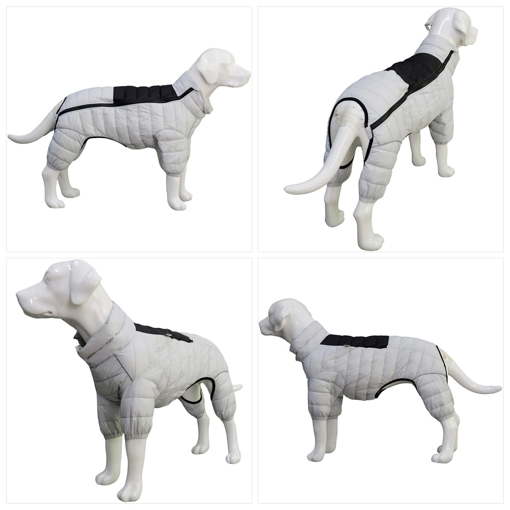 Fermeture éclair du manteau chien 4 pattes, détail fiable et pratique