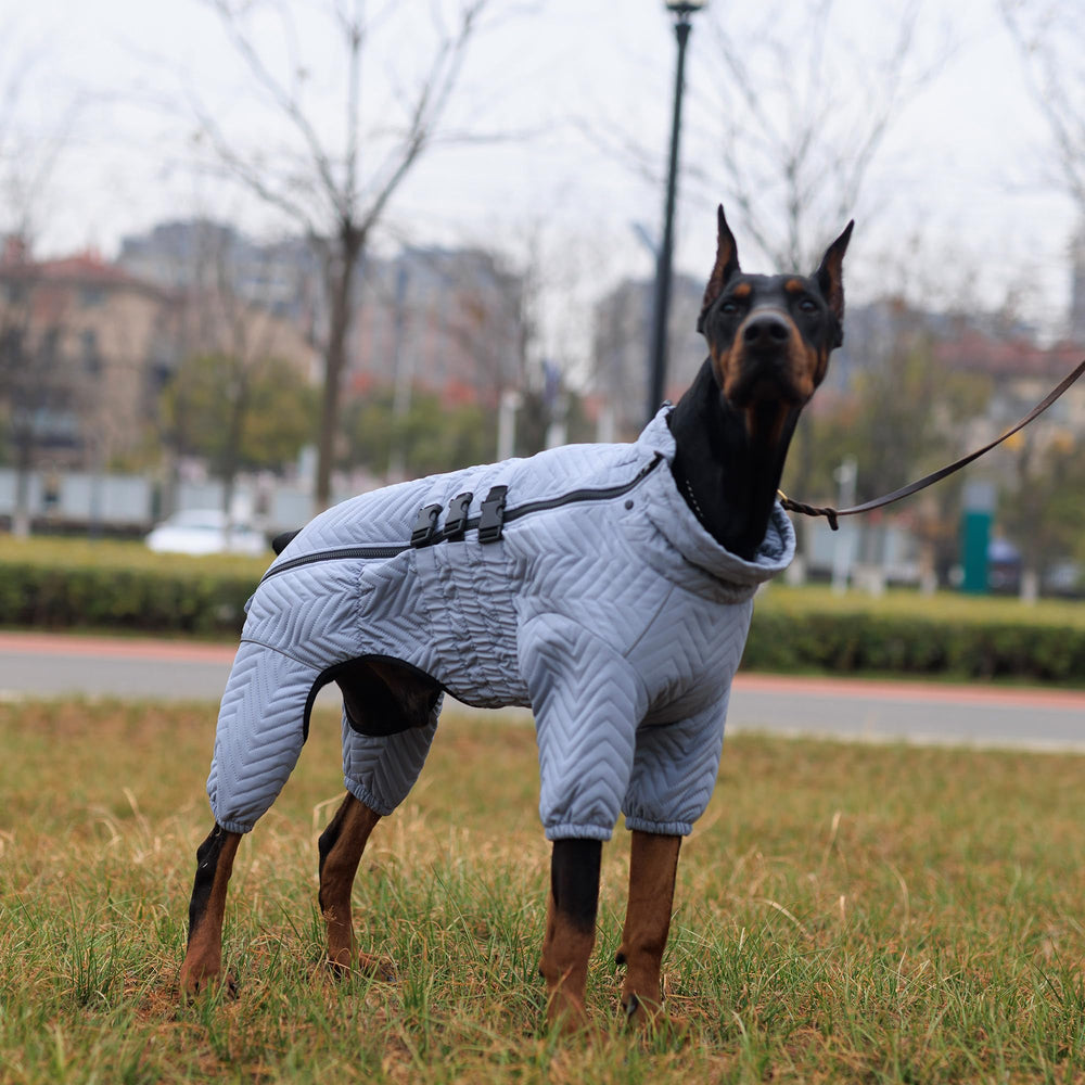 Manteau Lovelonglong chien utilisation hivernale patinage: parfait pour activités extérieures