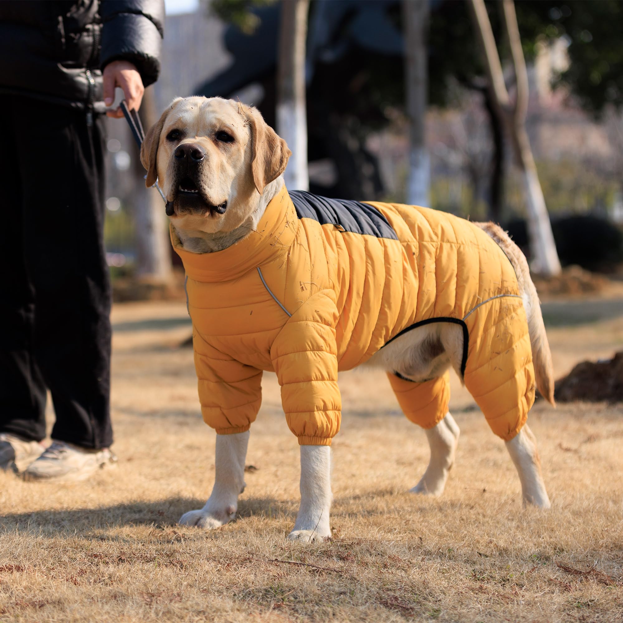 Lovelonglong manteau chien utilisation hivernale, léger et durable