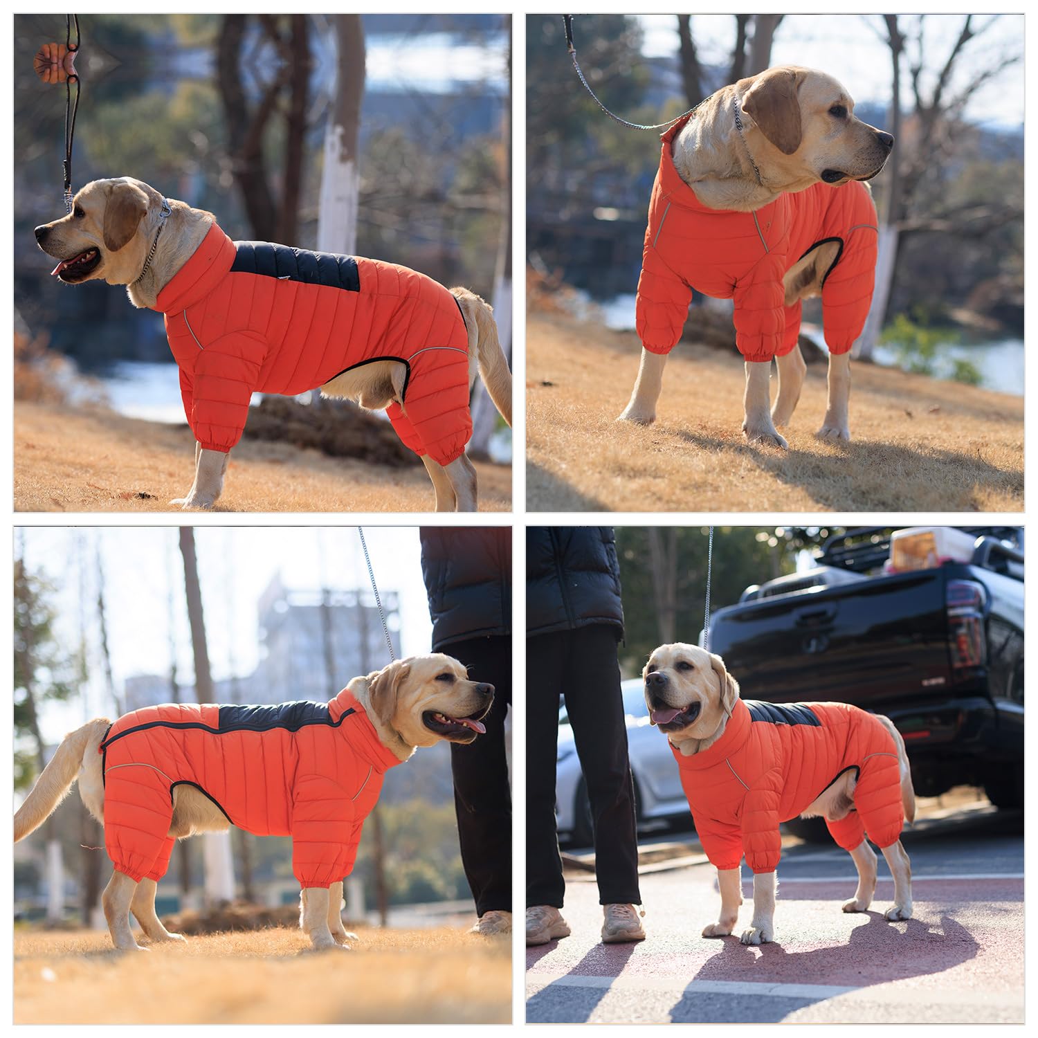Lovelonglong Orange S: guide des tailles aide à choisir la bonne taille.