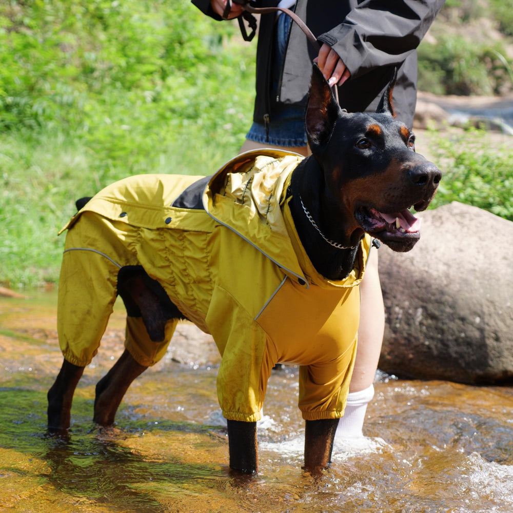 Lovelonglong poitrine élastique chien, ajustement confortable même pour les fortes poitrine.