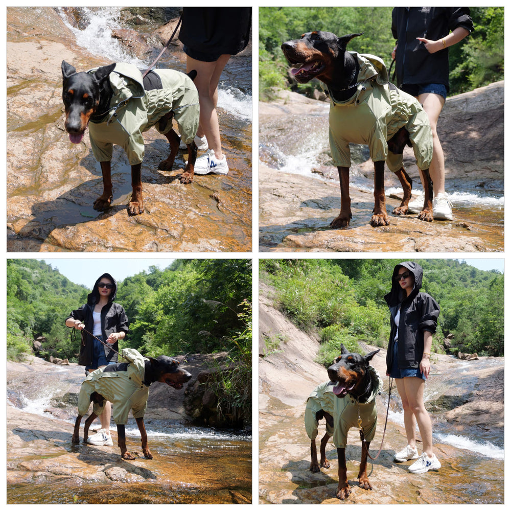 Panneau poitrine élastique offrant un ajustement sûr et confortable sur le manteau chien.